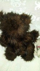 BROWNIE BEAR VEST BK